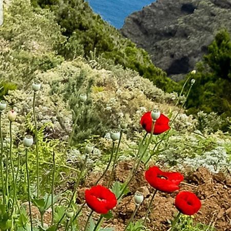 The Poppies Guest House - 100M Ocean - Private Spaces 坎德拉里亚 外观 照片
