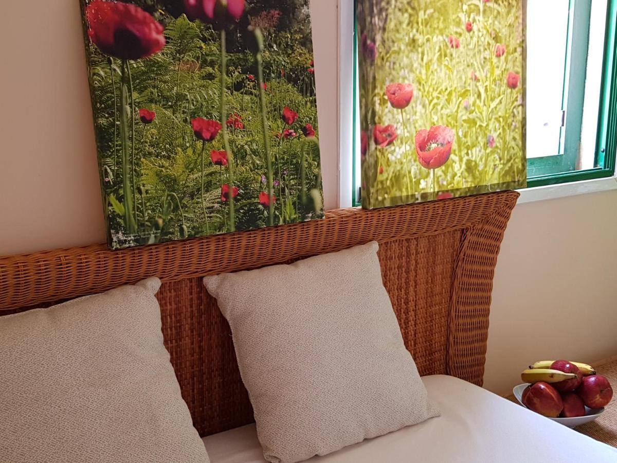 The Poppies Guest House - 100M Ocean - Private Spaces 坎德拉里亚 外观 照片