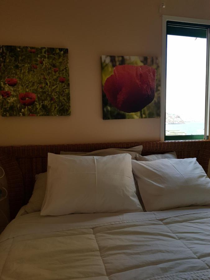The Poppies Guest House - 100M Ocean - Private Spaces 坎德拉里亚 外观 照片